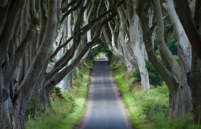 Esperienza Titanic e tour della Giant's Causeway - Foto 4